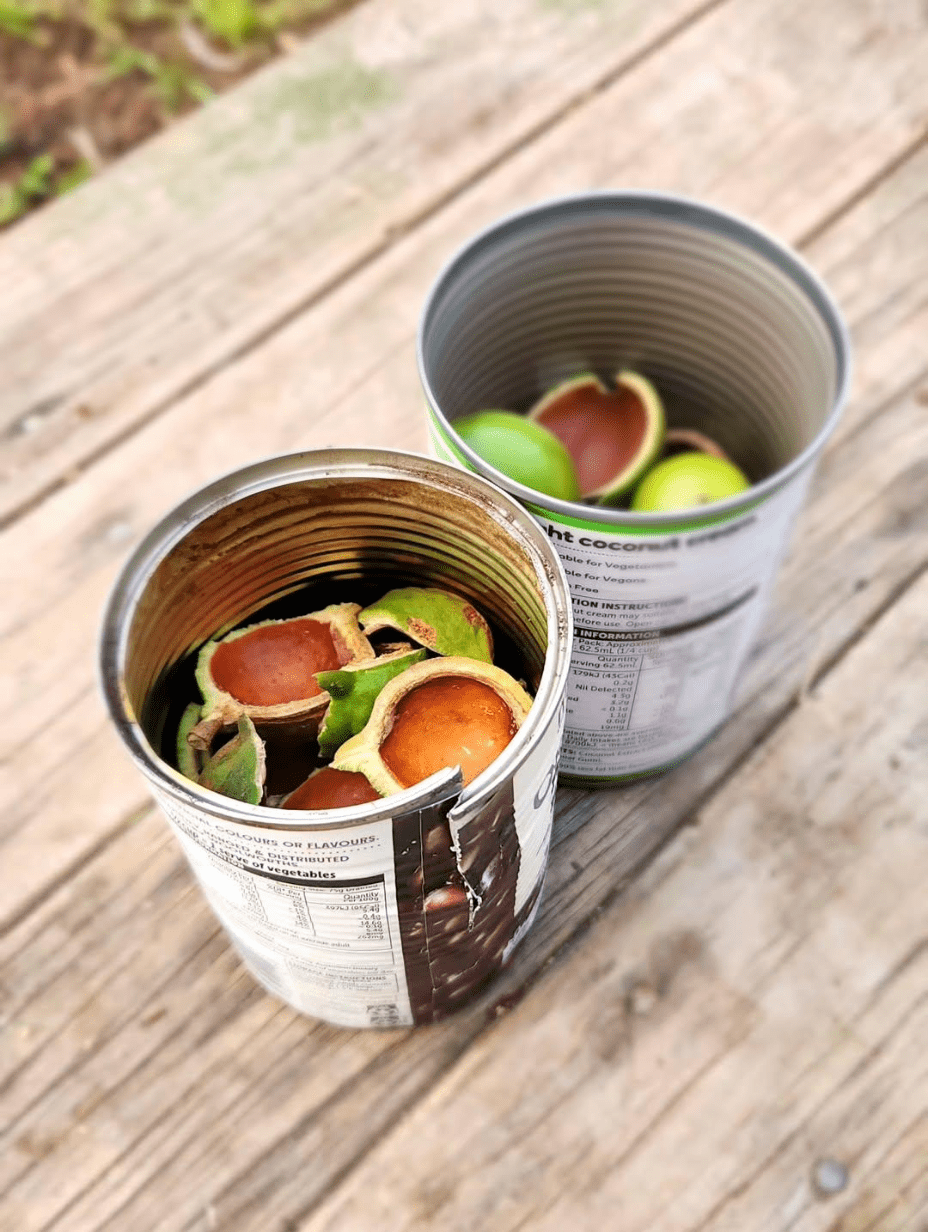 Macadamia husks prepared in tin cans ready for pyrolysis